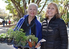 Nan Basu and Cynthia McMullin leave the festival with new herb plants. Basu purchased basil, dill, rosemary, fennel, mint and oregano for her herb garden in the making.