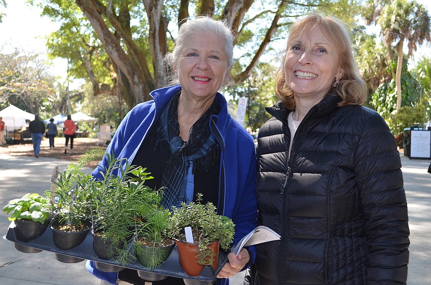 Nan Basu and Cynthia McMullin leave the festival with new herb plants. Basu purchased basil, dill, rosemary, fennel, mint and oregano for her herb garden in the making.