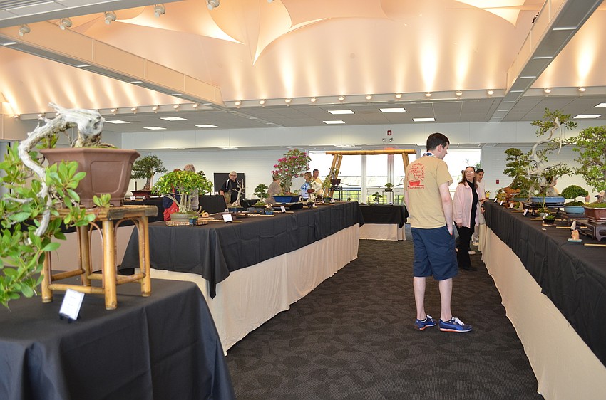 Dozens of bonsai trees were carefully curated for the Sho Fu annual Bonsai Show.