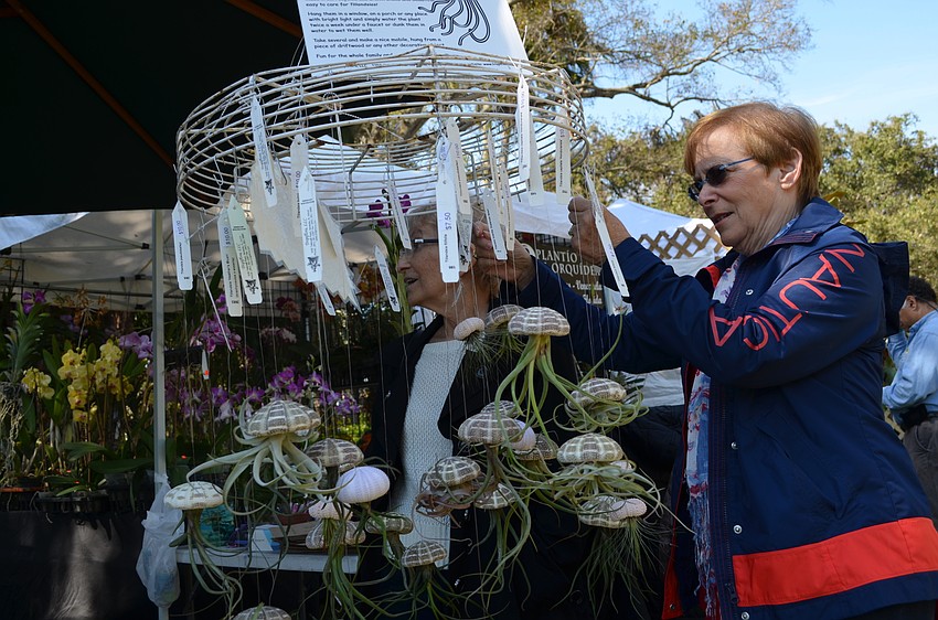 Doris Millian and Diane Gittleman are in awe of the Jellyfish plant holders that are made from recycled sea urchin shells.