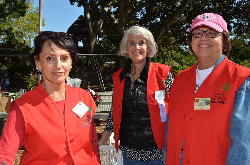 Lynnie Siegal, Jane Vickers and Linda Lestock