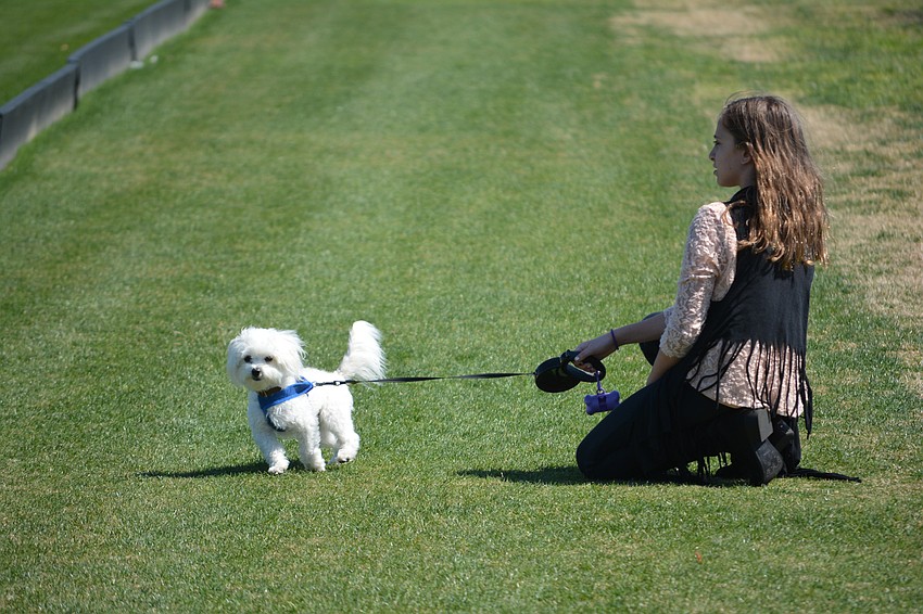 Alex Greenberg, a 10-year-old from Lakewood Ranch, holds Luke, who would like to get on the polo field.
