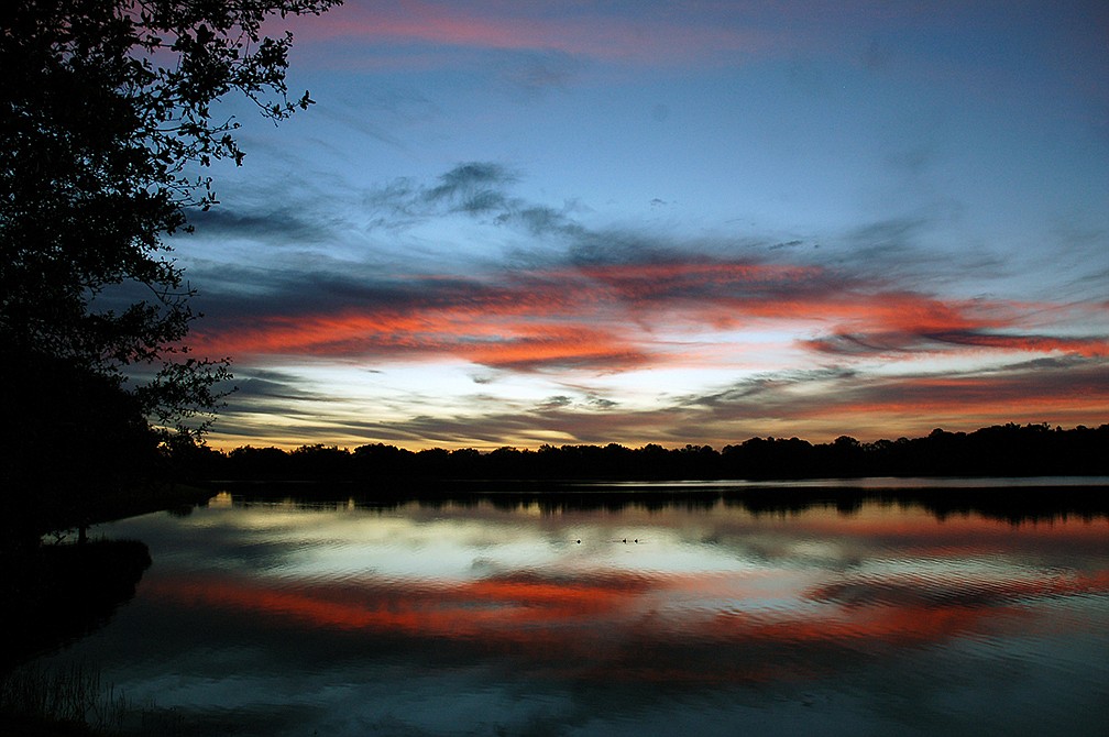 Susan DeVictor, of Lakewood Ranch, submitted this photo of the sun rising over Lake Summerfield.