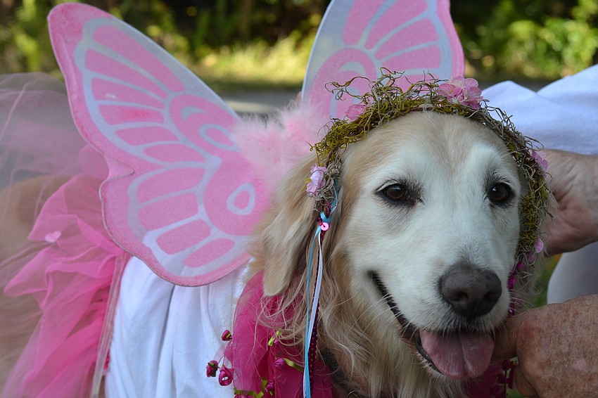 Maggie Case shows off her fairy flair.