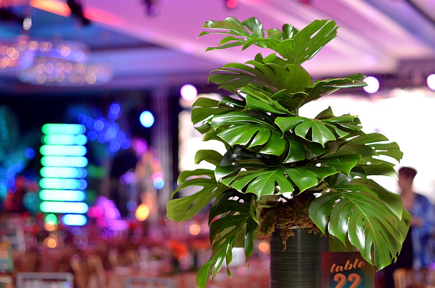 Asolo Rep's annual gala was themed Cabaret at the Tropicana.