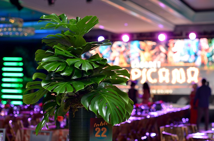 Asolo Rep's annual gala was themed Cabaret at the Tropicana.