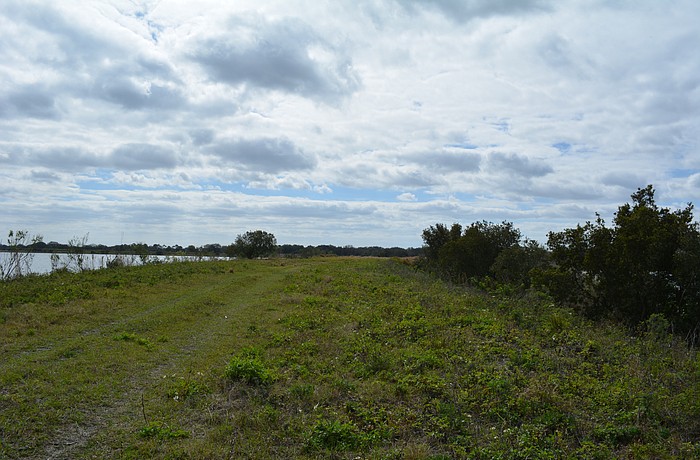 The community will surround a lake and have plenty of pedestrian-friendly areas.