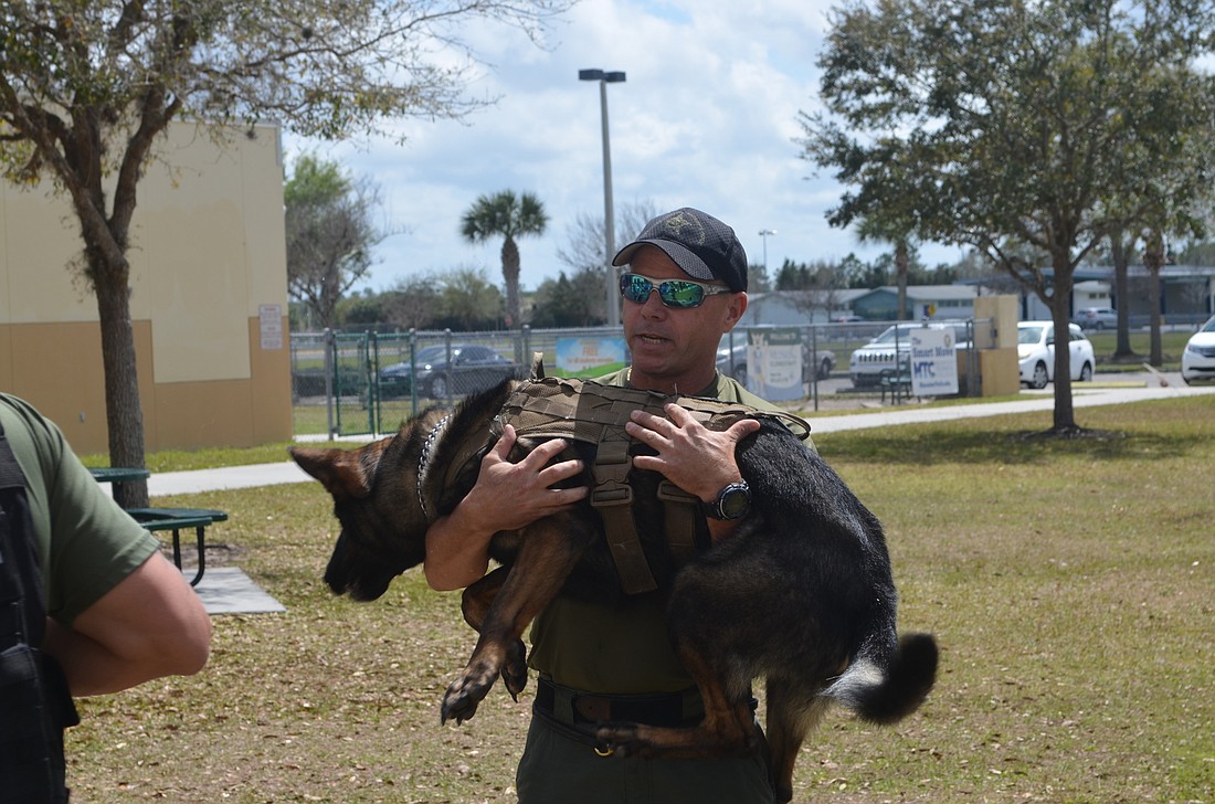 K-9 handler Tom Franklin, of the Manatee County Sheriff's Office, plays around with his companion and co-worker, Rocky.
