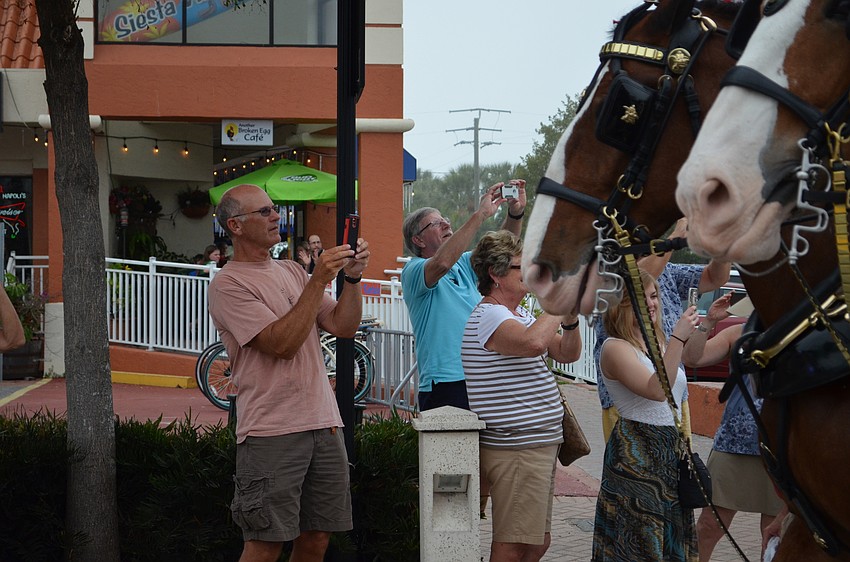 Dave Lindquist snaps a shot of the Clydesdales as they approach.