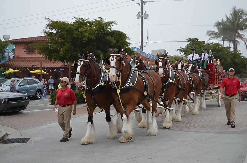 The Budweiser Clydesdales did two laps around the village for visitors to see.