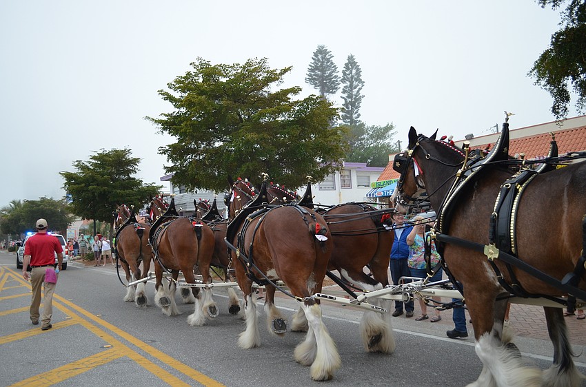 The Budweiser Clydesdales did two laps around the village for visitors to see.