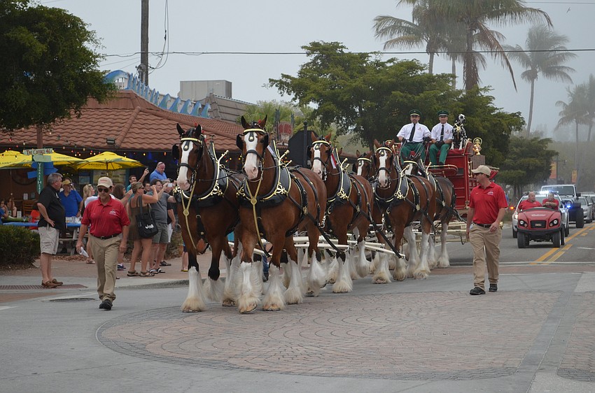 The Budweiser Clydesdales did two laps around the village for visitors to see.