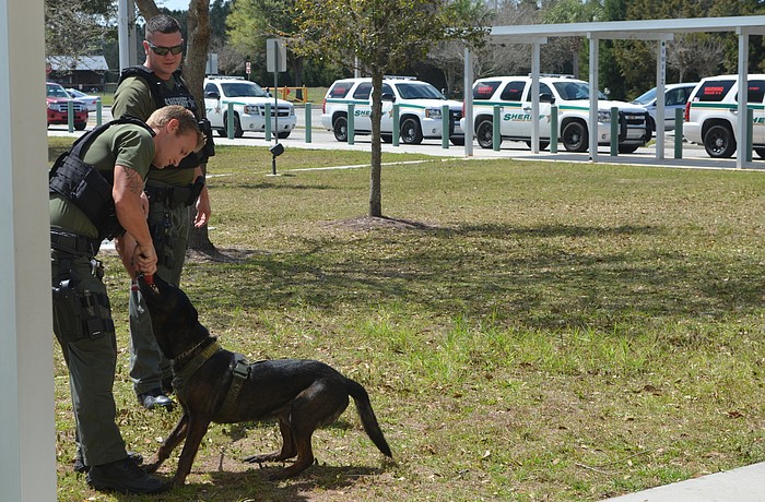 Sergeant Steve Chenard tests Barley's strength.