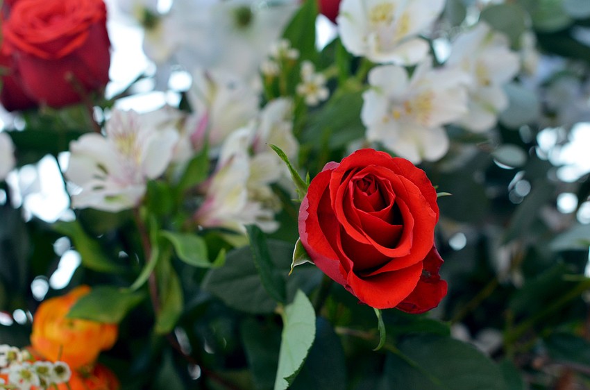 The cheese display featured a beautiful bouquet of flowers.