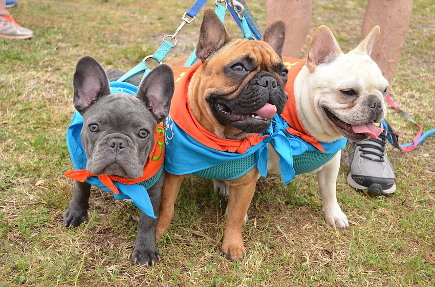Éclair, Brie and Baguette