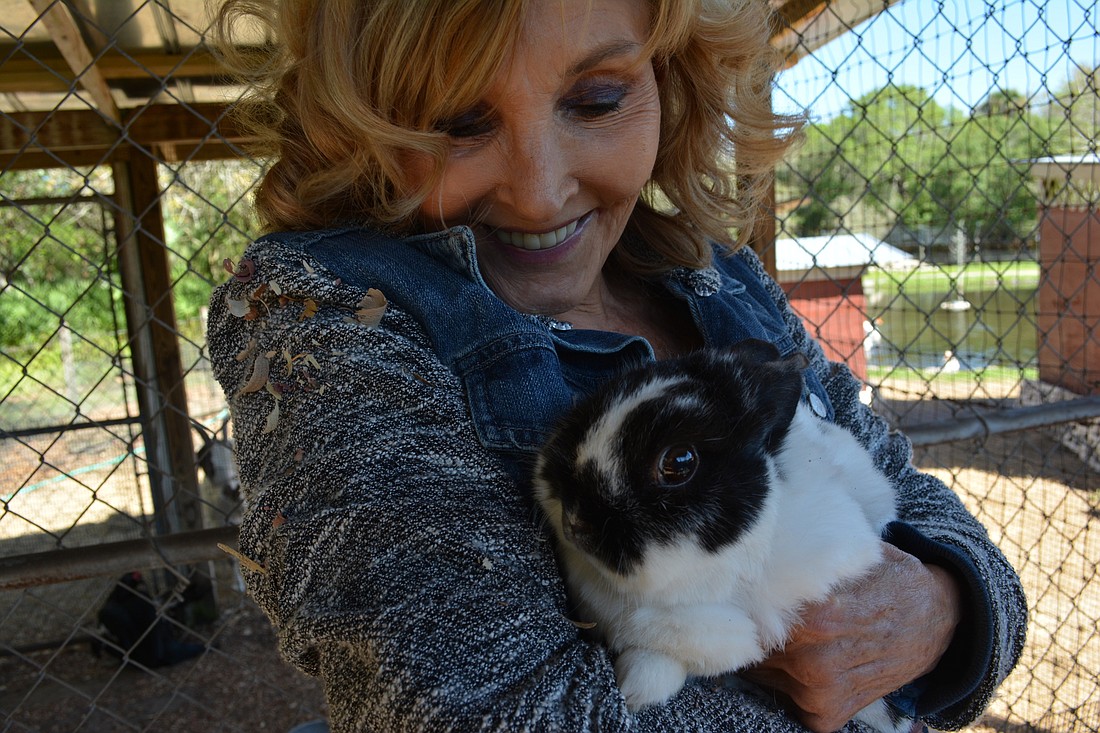 Elise Matthes oversees a 10-acre sanctuary for animals â€” including rabbits â€” as head of Sarasota in Defense of Animals.