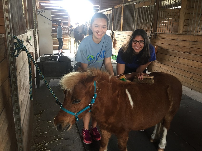 Courtesy photo. Ashlyn Hu and Jennifer Deyne help groom the horses at the Prospect Riding Center.
