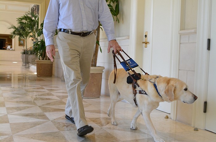 Chris McNamee walks with his guide dog, Max, through the Lakewood Ranch Golf and Country Club.