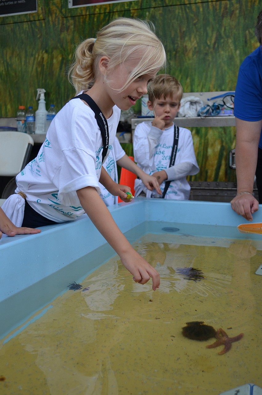 Addisyn Wiegand hesitates before reaching into the touch pool with sea urchins, starfish and hermit crabs.