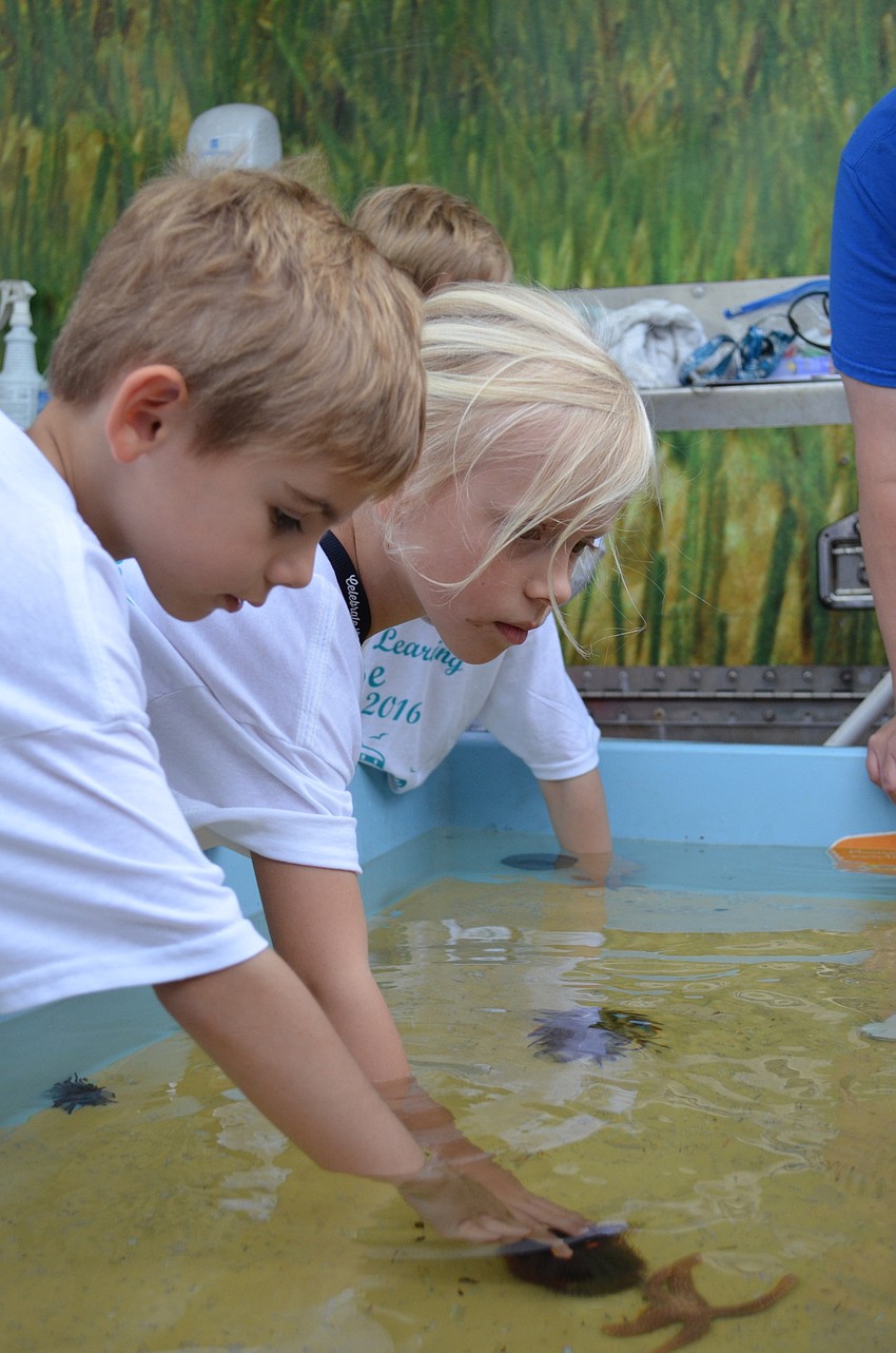 Bobby Jodat and Addisyn Wiegand feel a sea urchin in the Mote  Marine Laboratory and Aquarium traveling touch pool.