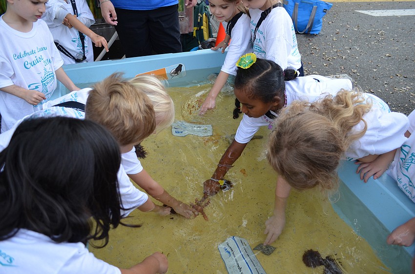 Students plunged into the touch pool from Mote Marine Laboratory and Aquarium to feel starfish and sea urchins.