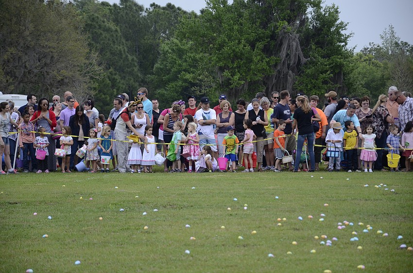 Families lined up by age group for the Easter egg dash.