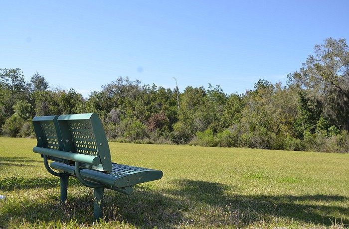 This bench along the sidewalk near Honore Avenue overlooks the wetlands and future Whole Foods development.