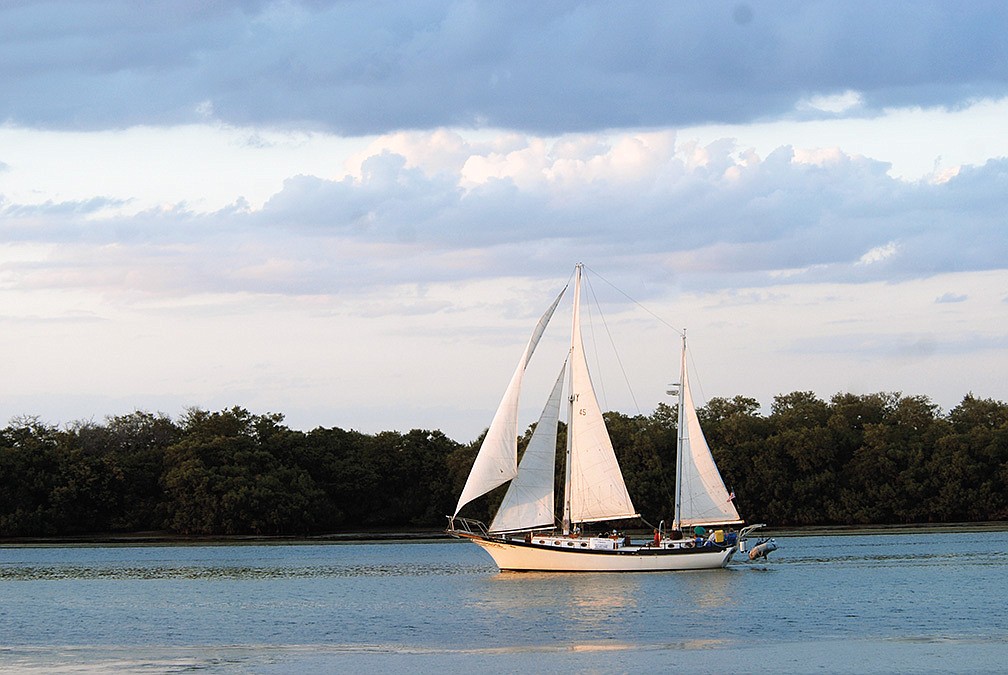Niki Muller, of Longboat Key, submitted this photo of a sailboat she sees floating through the bay most evenings.