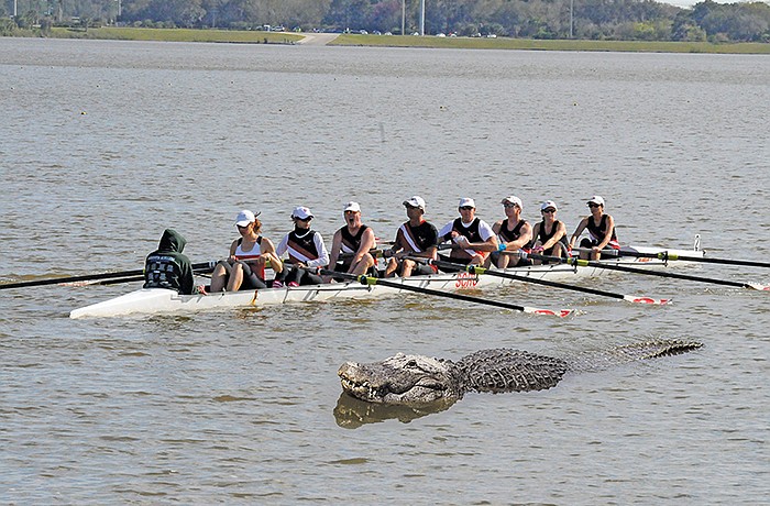 'Buddy' races a boat at Benderson Park.