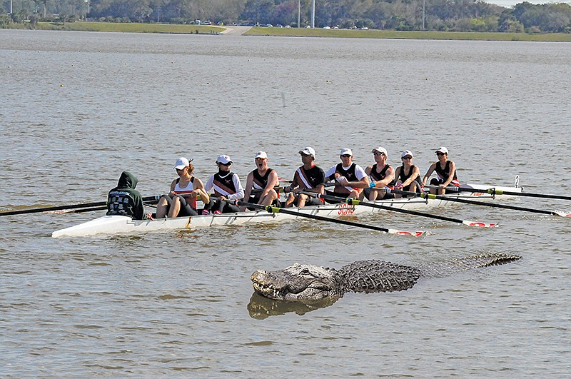 'Buddy' races a boat at Benderson Park.