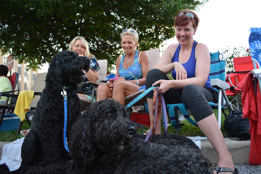 Laura Kohlhagen's dogs — Eli, Bella (not pictured) and Gabriel — draw plenty of attention. They sit with friends, Cinamon Good, left, and Liz Silver, center.