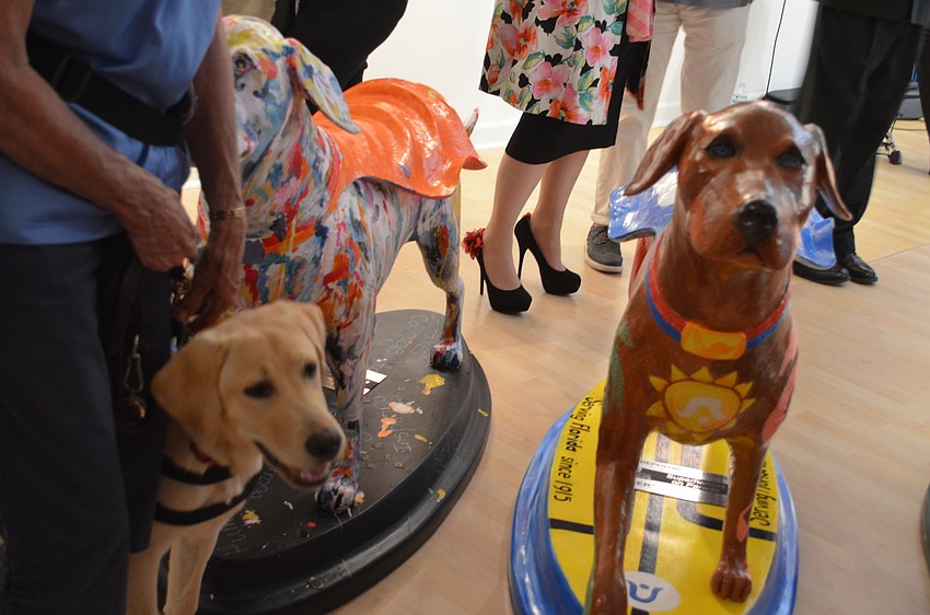 Puppy-in-training Marvel meets 