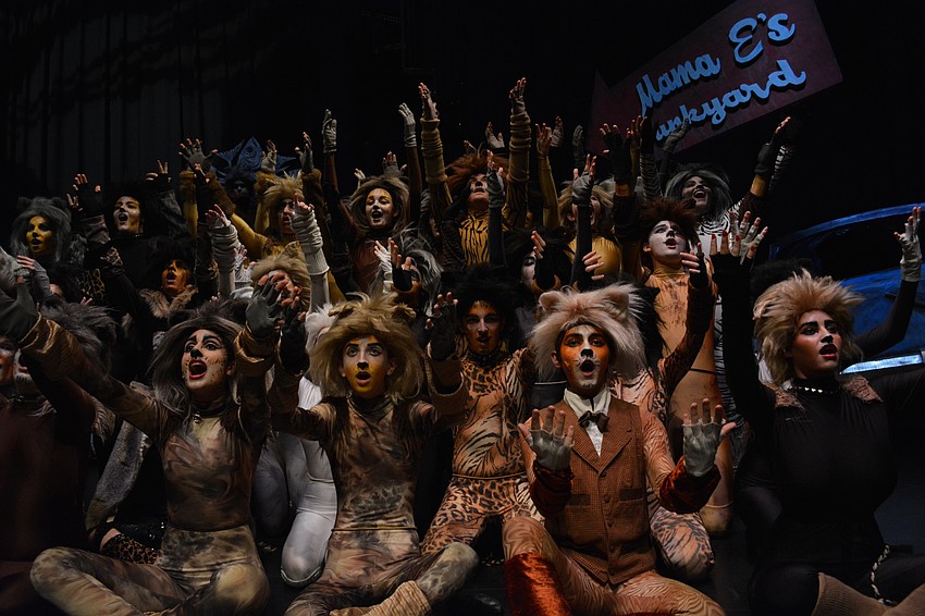 Cats sing jellicle songs for jellicle cats and share how cats are named.