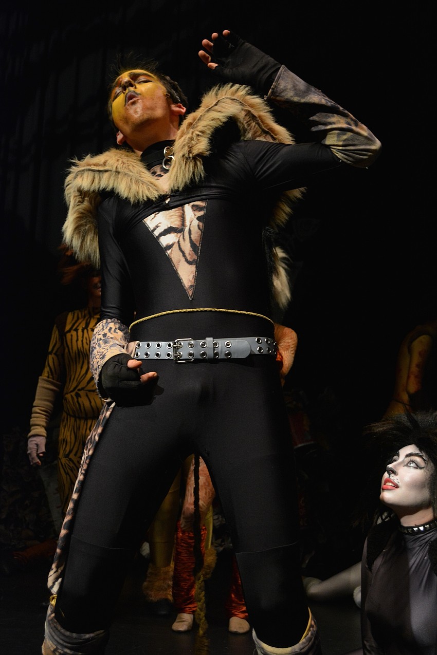 The Rum Tum Tugger Cat, played by Alex Seftas, gets meows from the female cats and laughs from the crowd for his hip swivels and other antics.