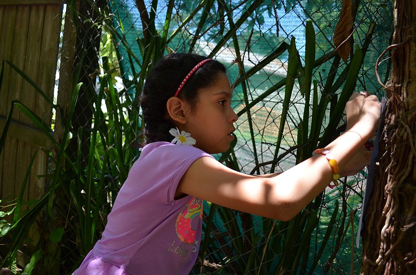 Isabella Solis uses a crayon and paper to trace bark on a tree.