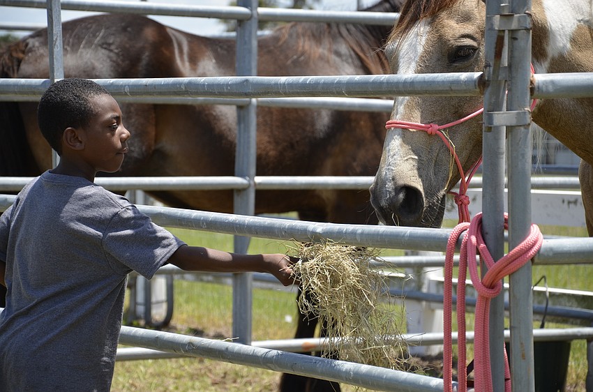 Terrell Jones tried to get Hanovi to eat a snack and be his friend.
