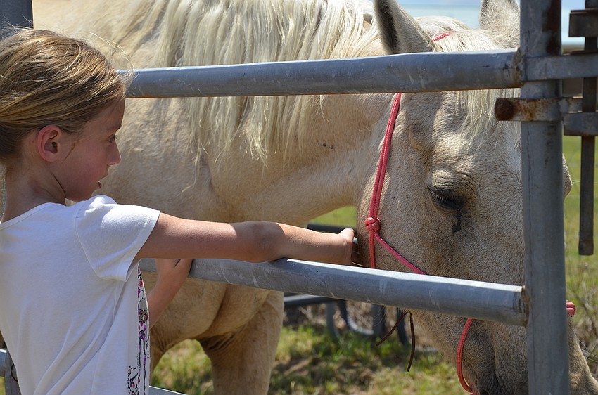 Olivia Kavanshansky of Lakewood Ranch strokes Ivy.