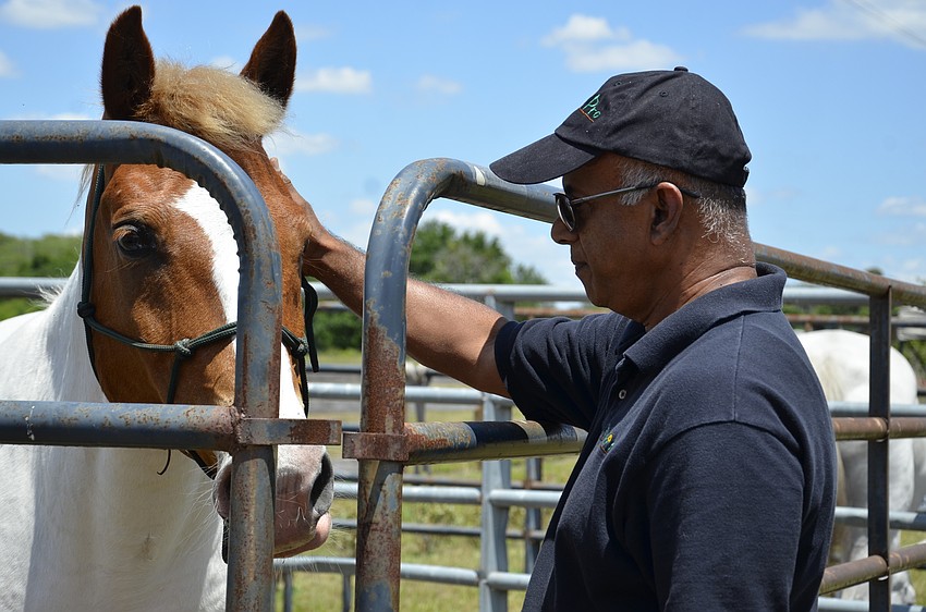 East County resident  Ali Tahiri pets Dakota.