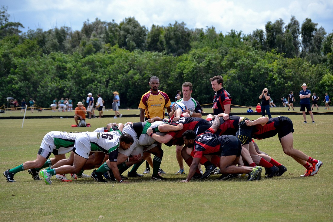 The Sarasota Surge faces off against the Gainesville Hogs during a scrum. (courtesy photo)