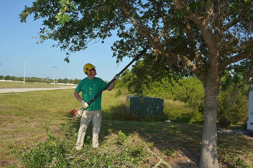 The tree maintenance at the Red Cross began as Tyson Green cleared away low-level limbs.