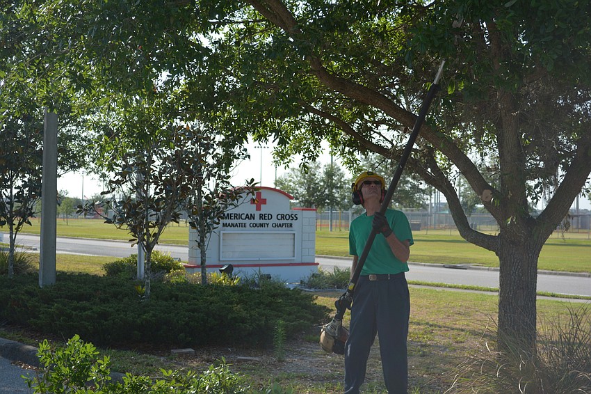 Ken Green has spent 35 years cutting limbs above his head.