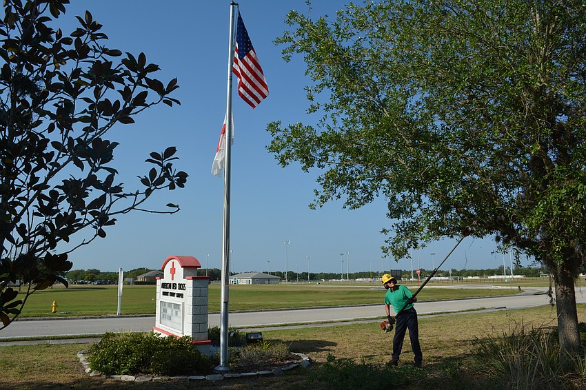 Ken Green, who is the senior vice commander for VFW post 12055, noticed the Red Cross needed work on its trees while attending VFW meetings at the facility.