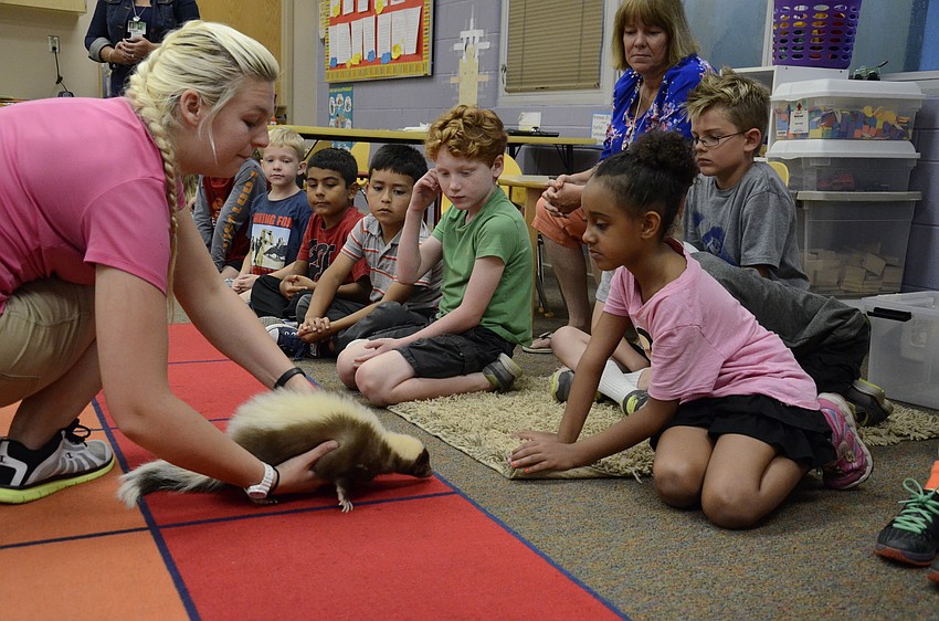 Kara Kimes lets Kimora King pet Mocha the skunk.