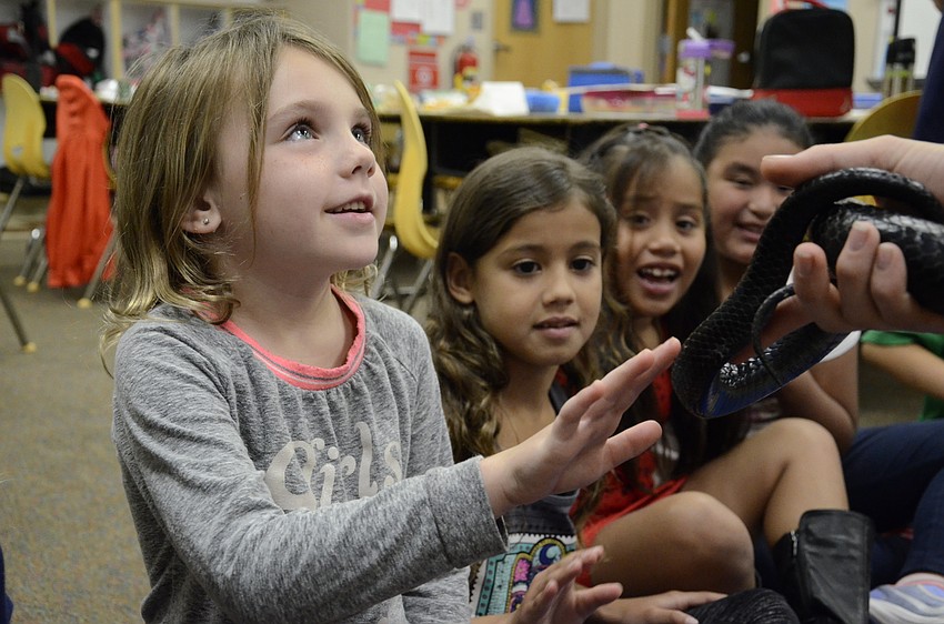 Lucy Palmatag strokes Indy the snake.