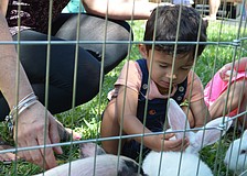 Jordan Moctezuma makes friends with one of the rabbits in the petting zoo.
