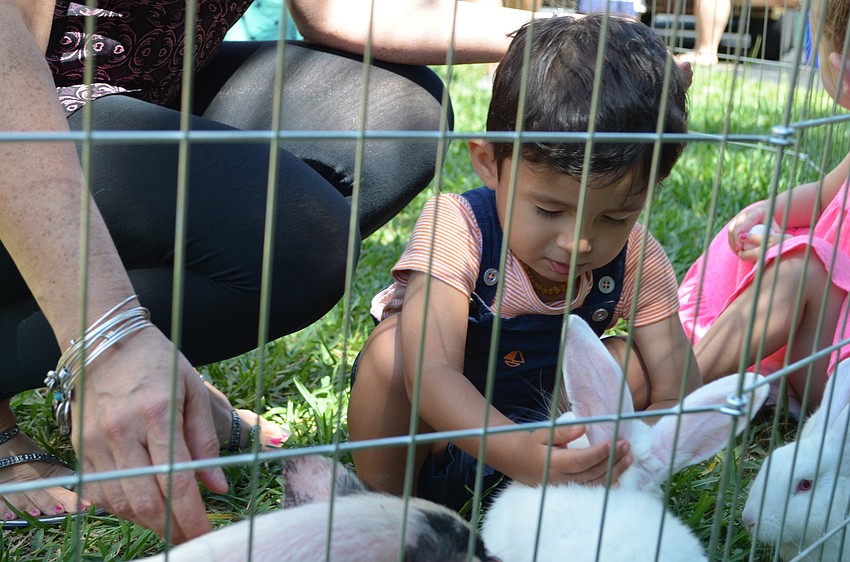 Jordan Moctezuma makes friends with one of the rabbits in the petting zoo.