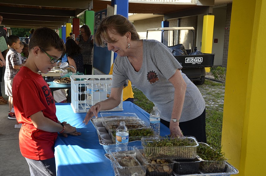 Mark Lolies and Vicki Short explore erosion.