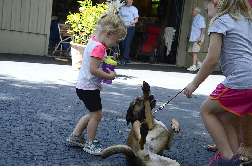 Peyton and Raylee Brown of Parrish play with Shay. Shay is available for adoption. Call 321-6364 for more information.