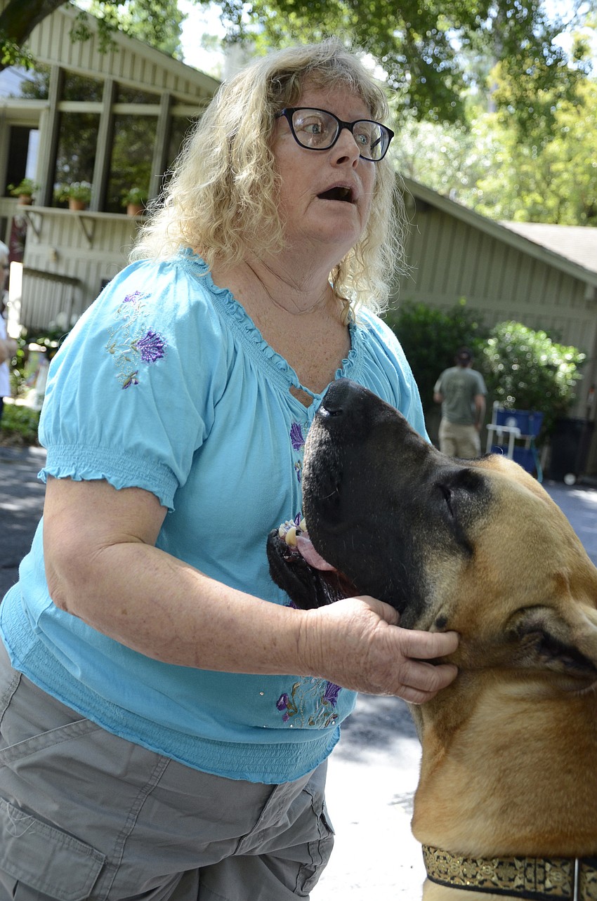 Susi Kirkpatrick of Lakeland talks about training the great dane, Cody.