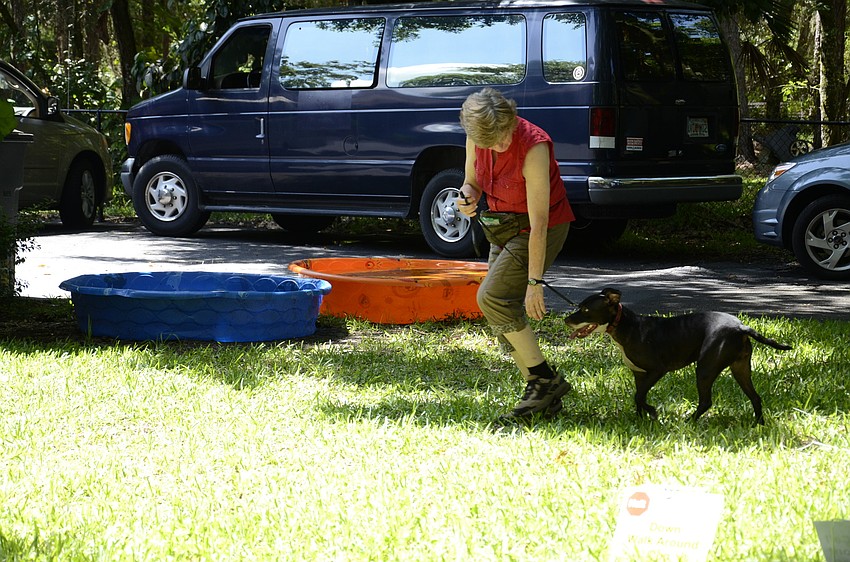 Janet Wyatt of Sarasota takes Lola through an obedience course.